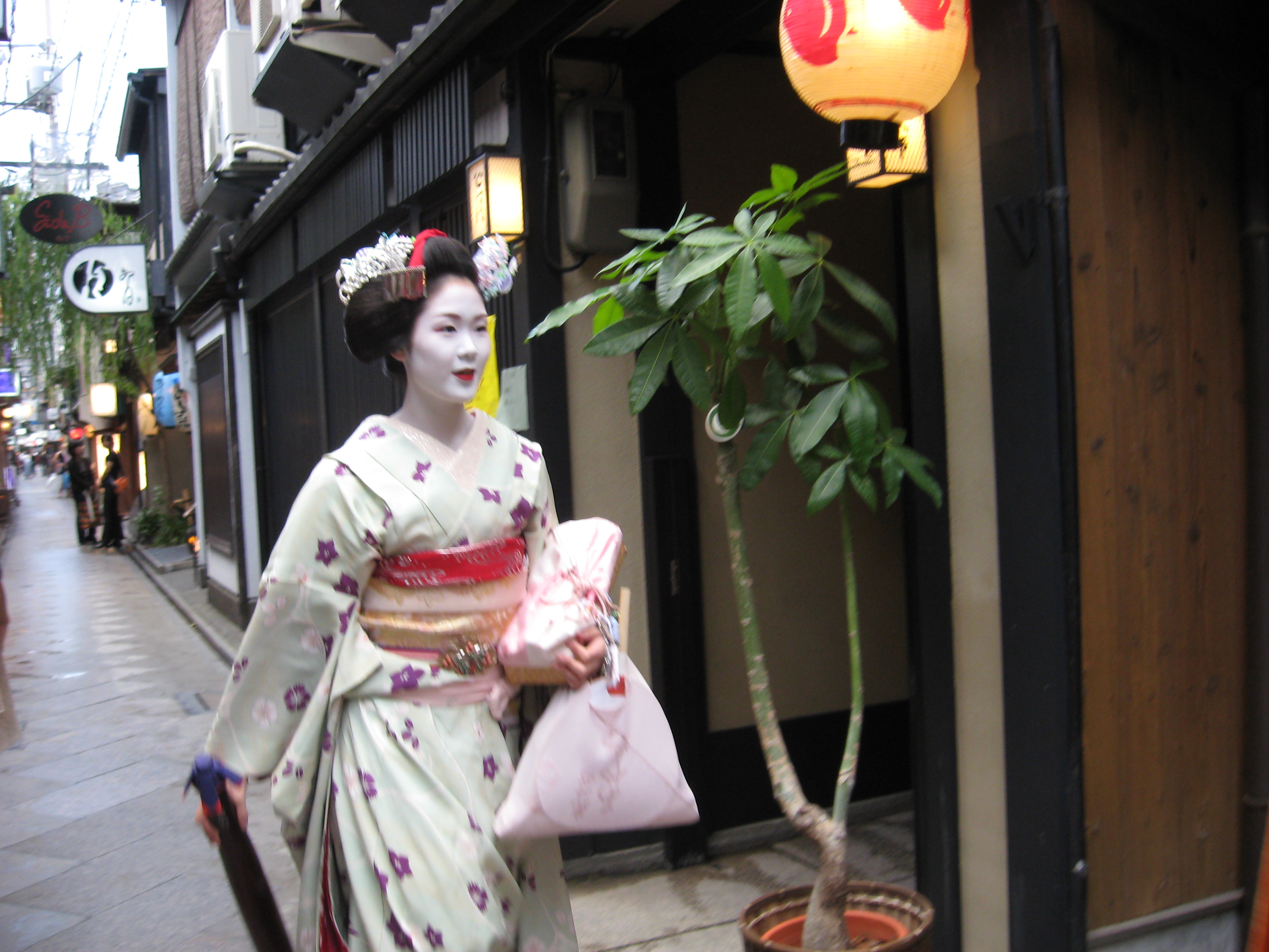 Geisha Dress in Kyoto, Japan 2010 by Tim Jekel