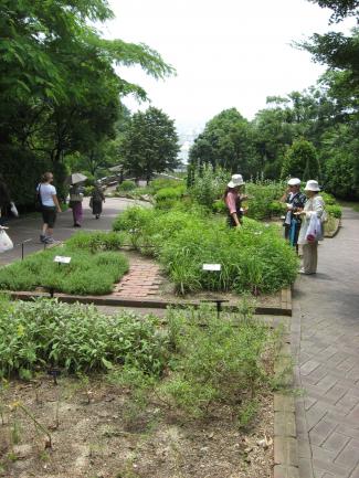 Nunobiki Herb Path, Nunobiki Herb Garden near Kobe, Japan by Tim Jekel