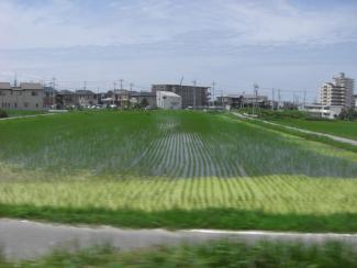 Rice paddy along the train on the way to Koya-san Japan July 2010